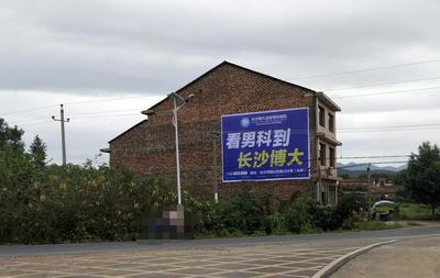 城市脉动的墙壁匠心 一线丈量长沙大美术
